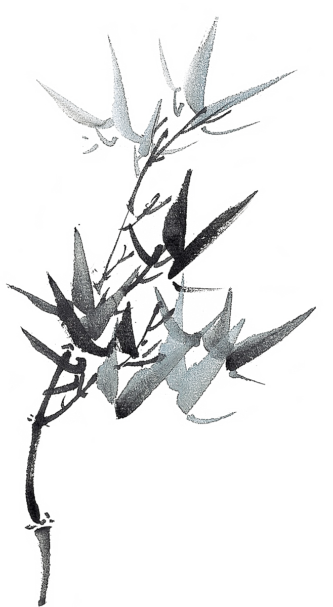 免抠植物古风竹子插画元素