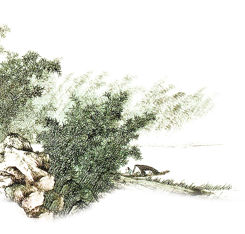 免抠植物古风竹子插画元素