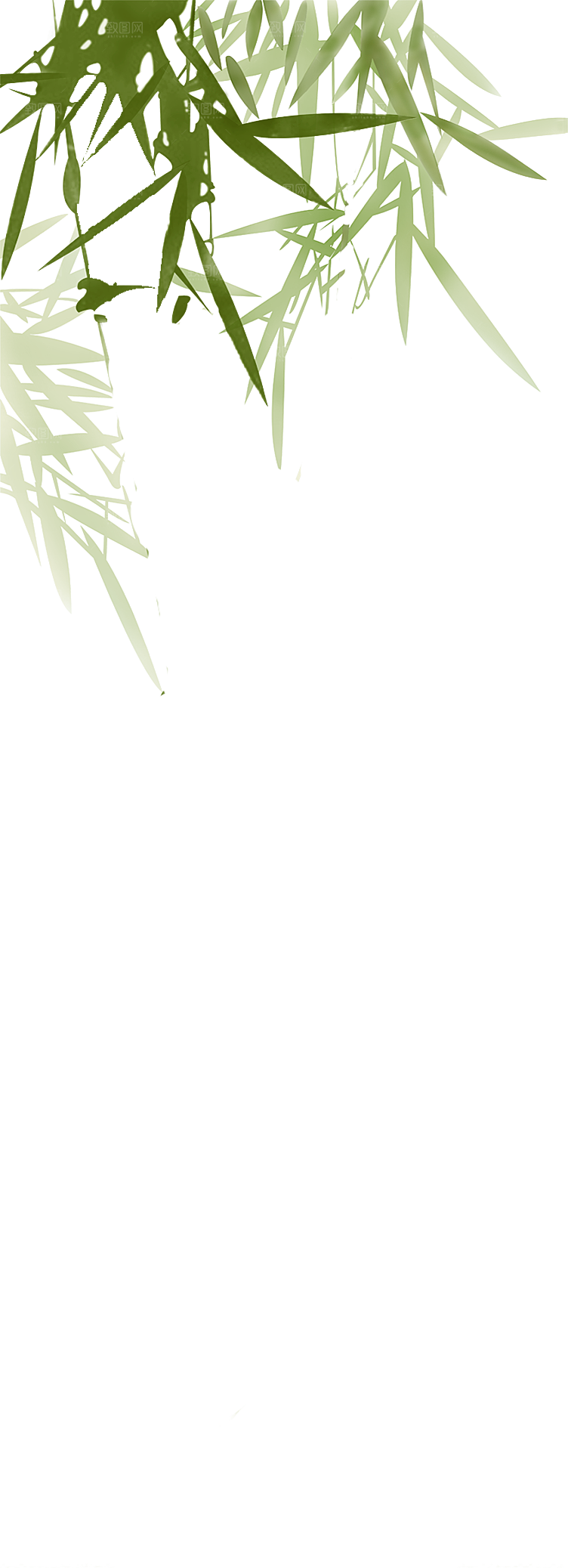 免抠植物古风竹子插画元素