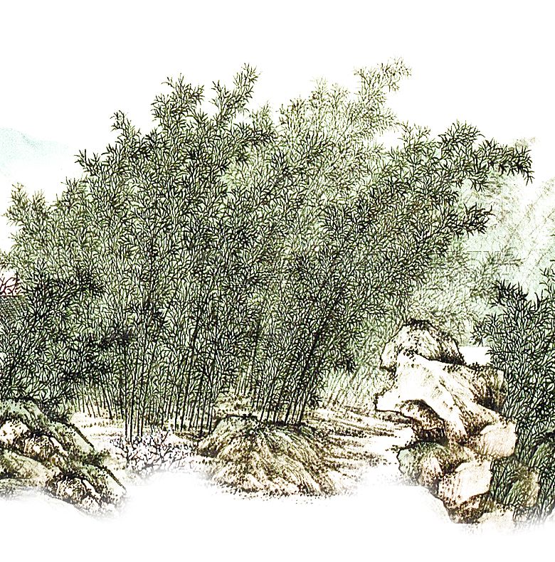 免抠植物古风竹子插画元素