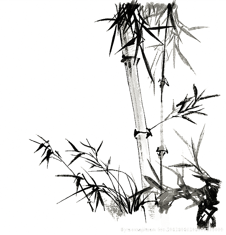 免抠植物古风竹子插画元素