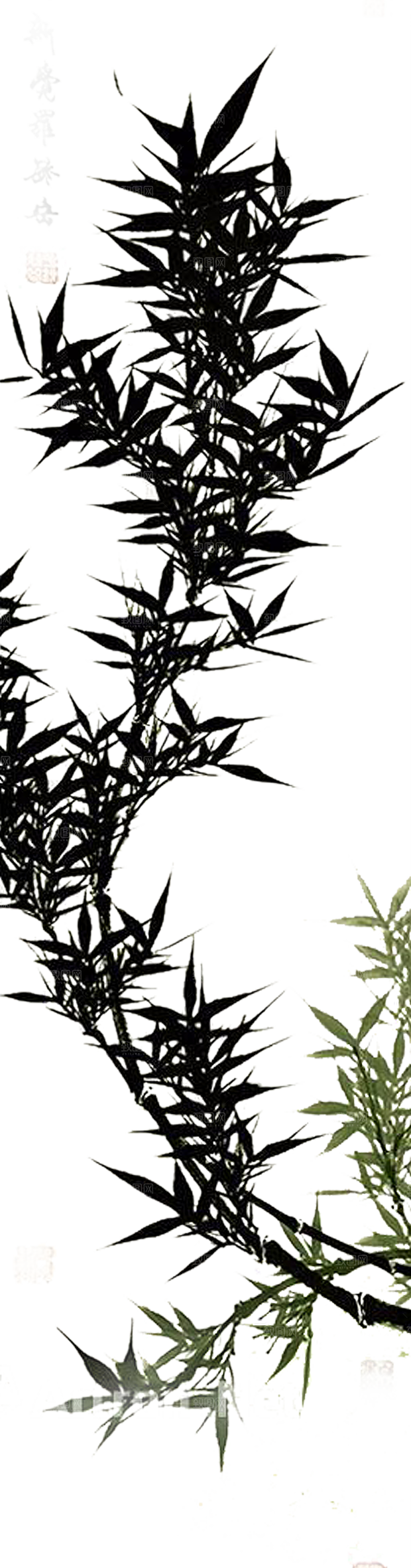 免抠植物古风竹子插画元素