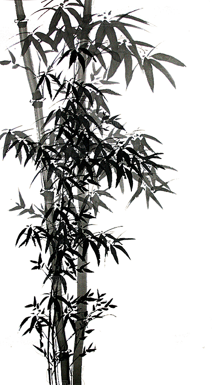 免抠植物古风竹子插画元素