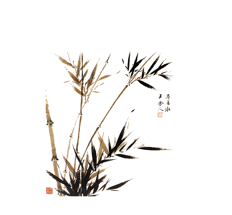 免抠植物古风竹子插画元素