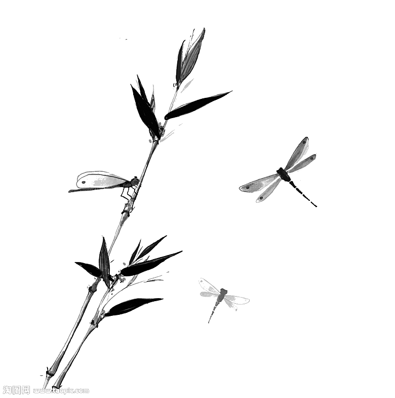 免抠植物古风竹子插画元素