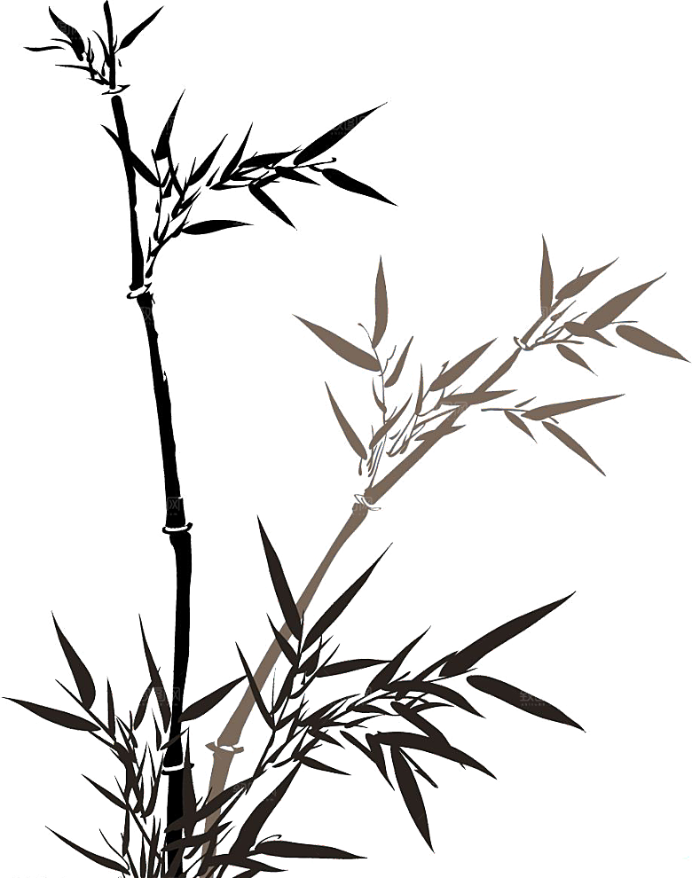 免抠植物古风竹子插画元素