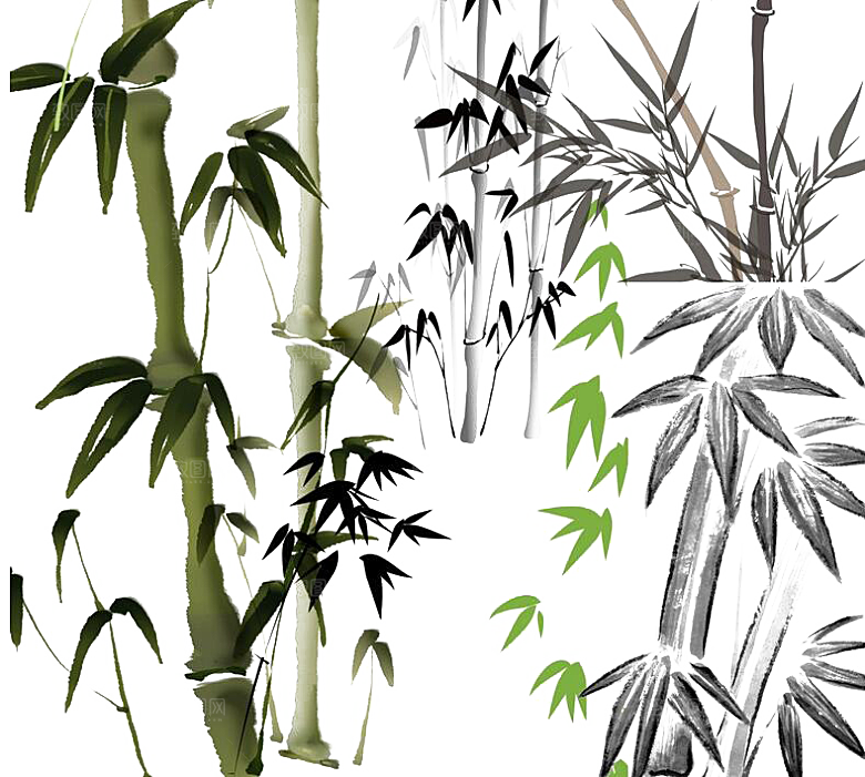 免抠植物古风竹子插画元素