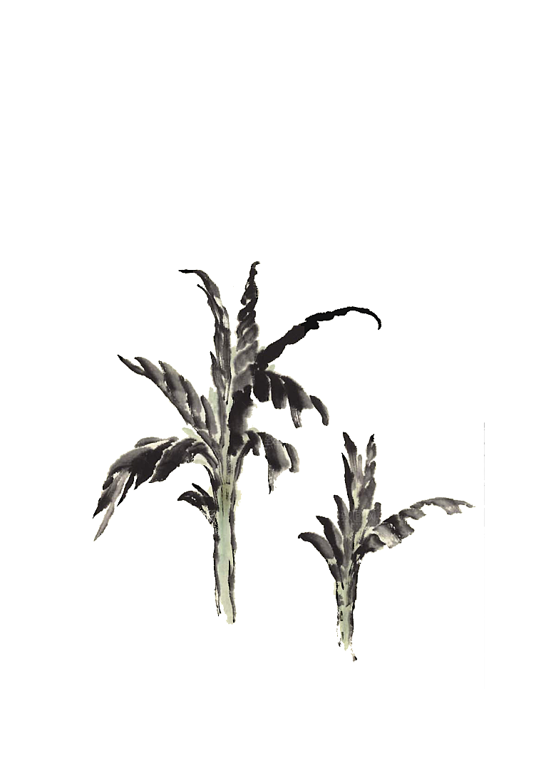 免抠植物古风树木插画元素