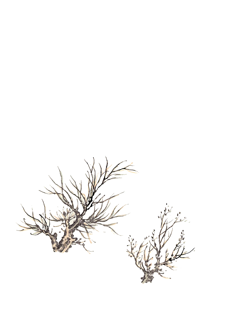 免抠植物古风树木插画元素