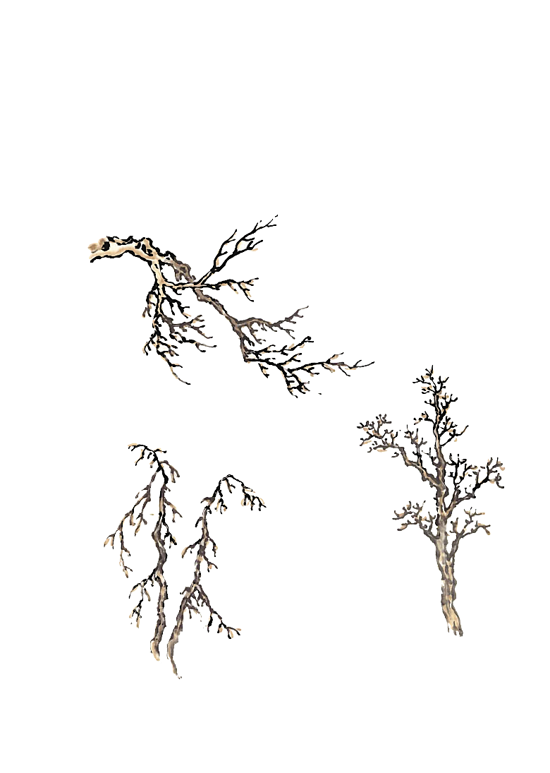 免抠植物古风树木插画元素