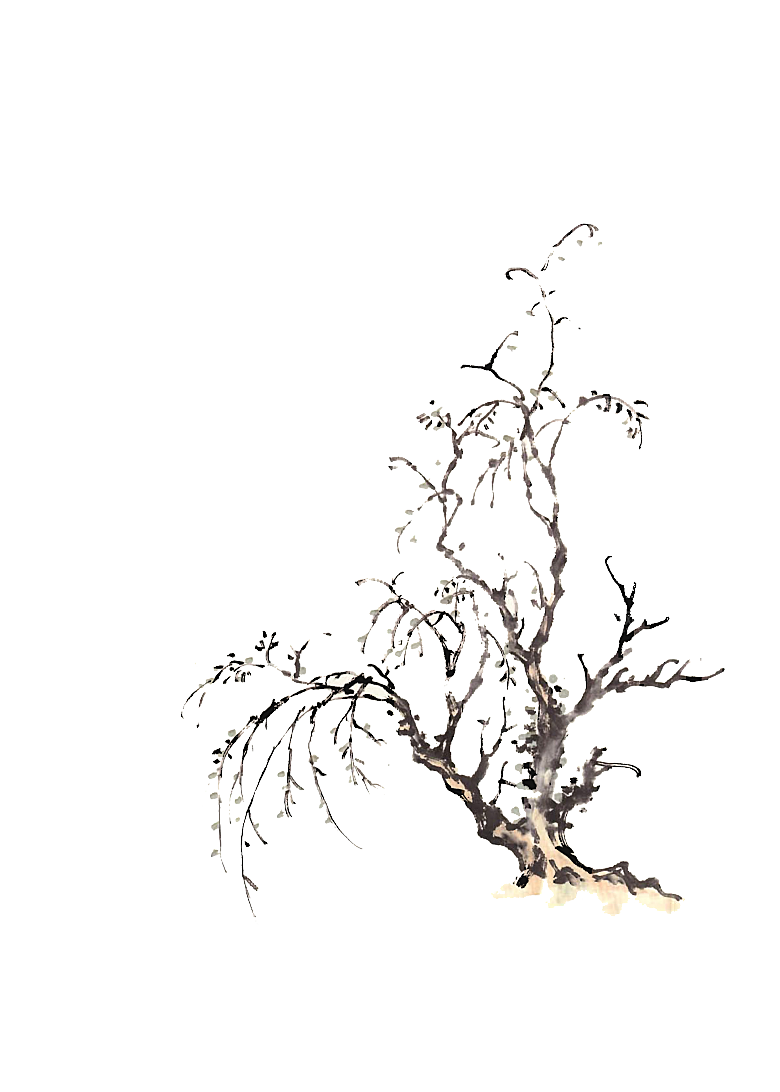 免抠植物古风树木插画元素