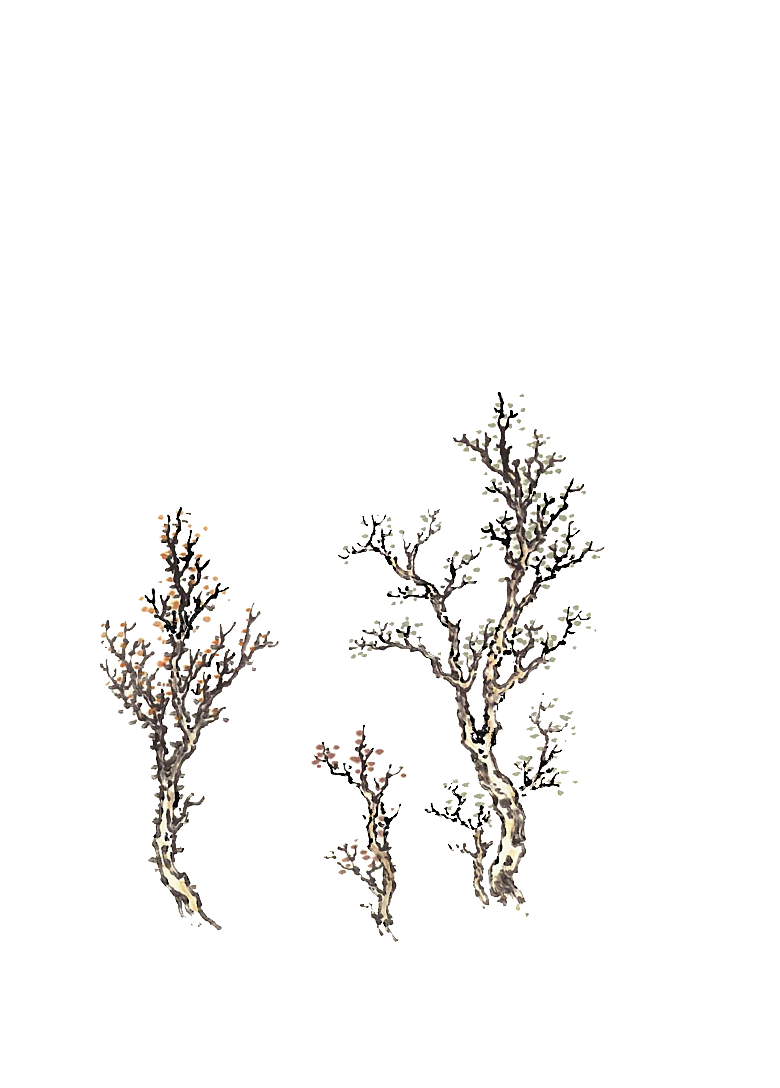 免抠植物古风树木插画元素