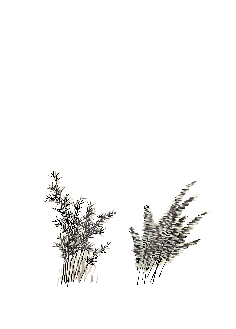 免抠植物古风树木插画元素