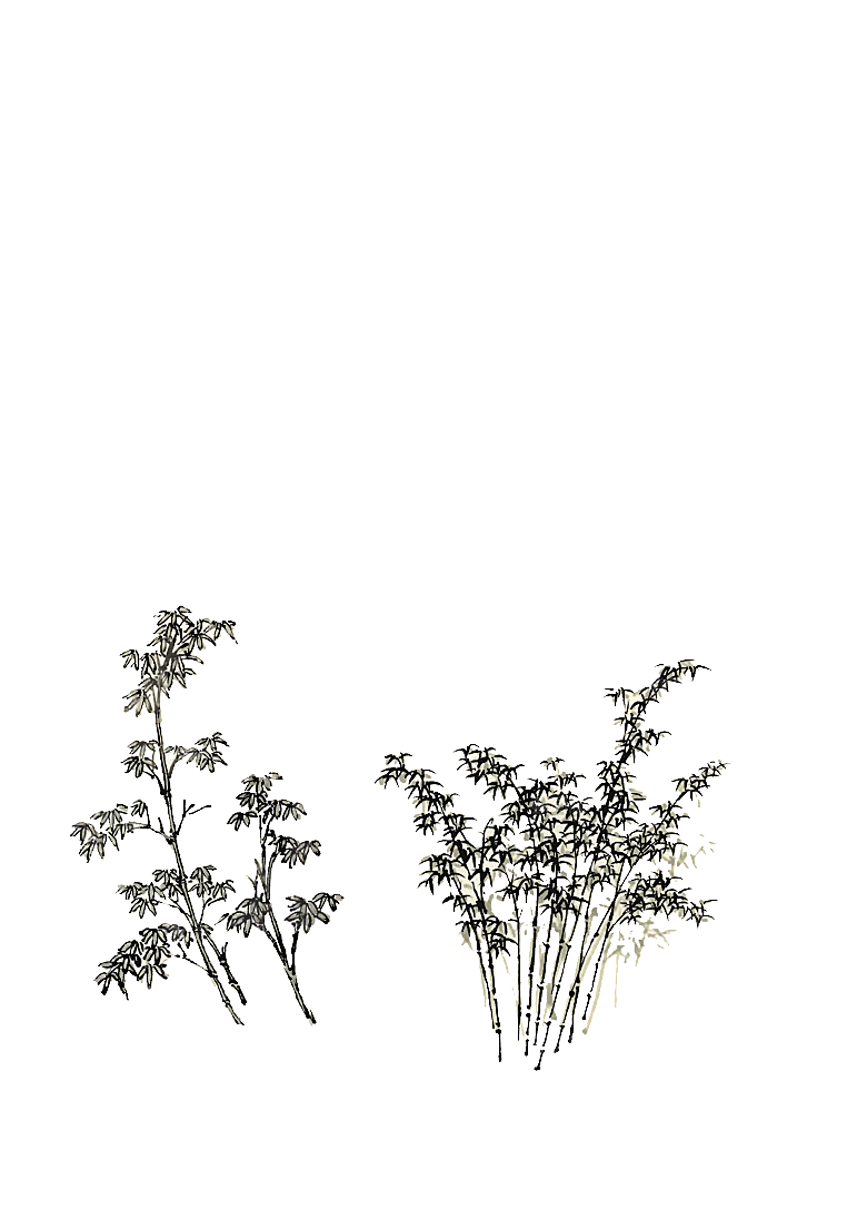 免抠植物古风树木插画元素