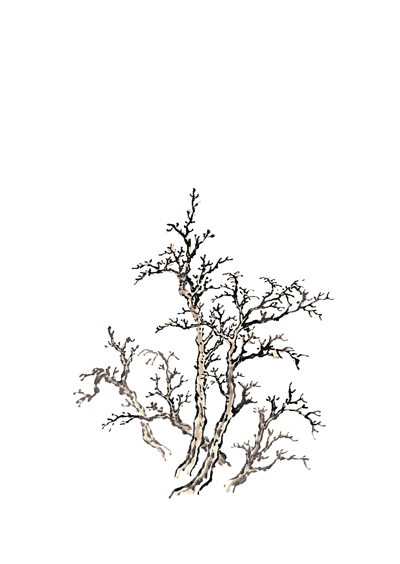 免抠植物古风树木插画元素