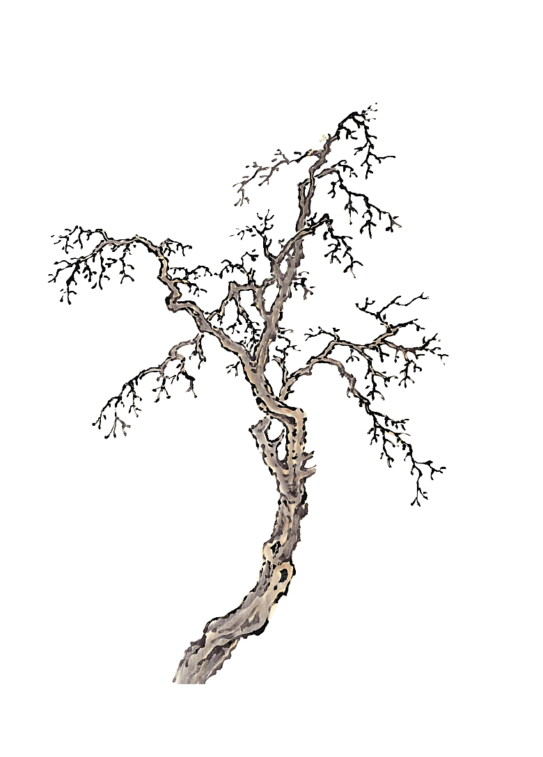 免抠植物古风树木插画元素