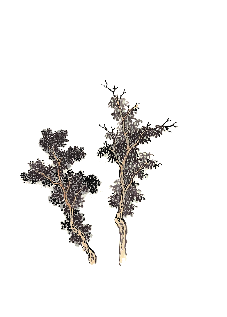 免抠植物古风树木插画元素