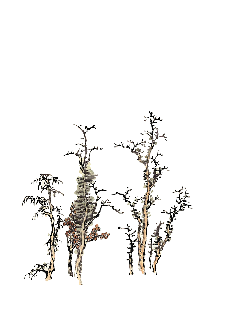 免抠植物古风树木插画元素