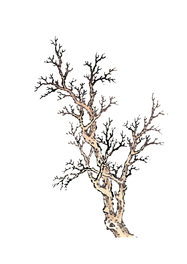 免抠植物古风树木插画元素