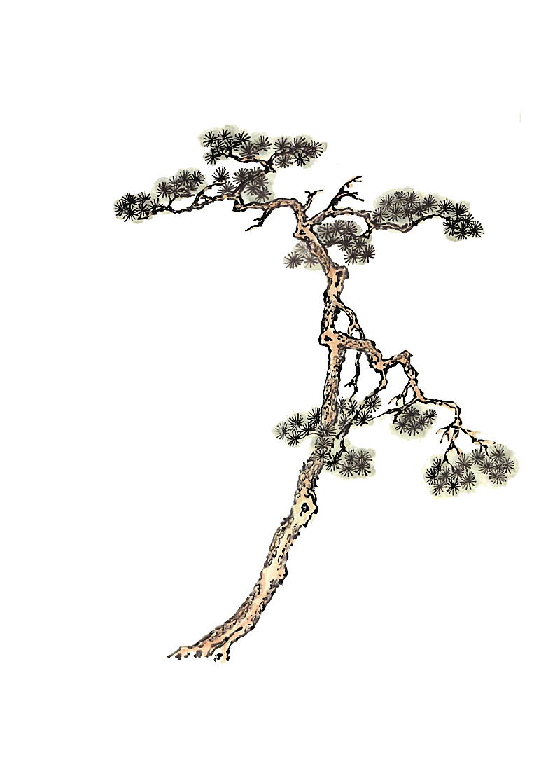 免抠植物古风树木插画元素