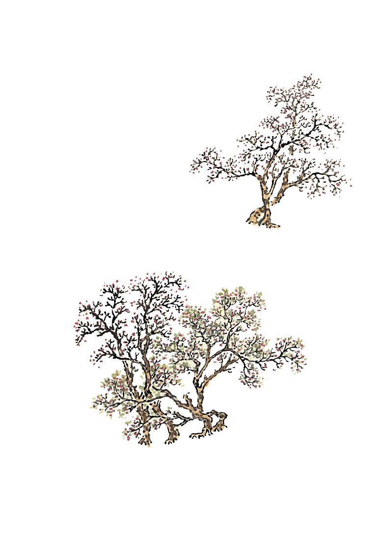 免抠植物古风树木插画元素