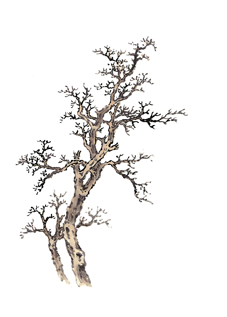 免抠植物古风树木插画元素