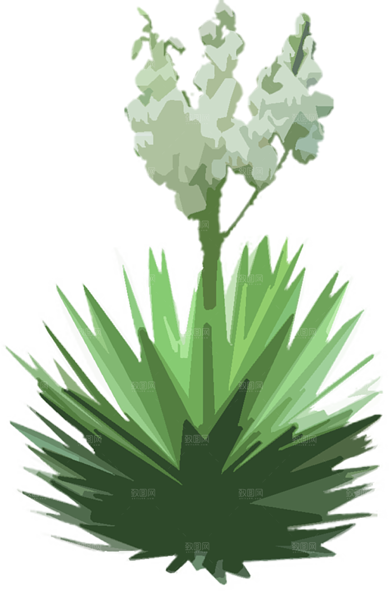 免抠植物古风树木插画元素