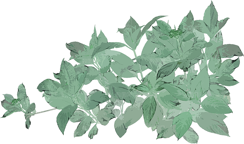免抠植物古风树木插画元素