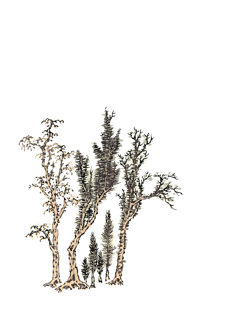 免抠植物古风树木插画元素