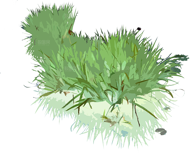 免抠植物古风树木插画元素
