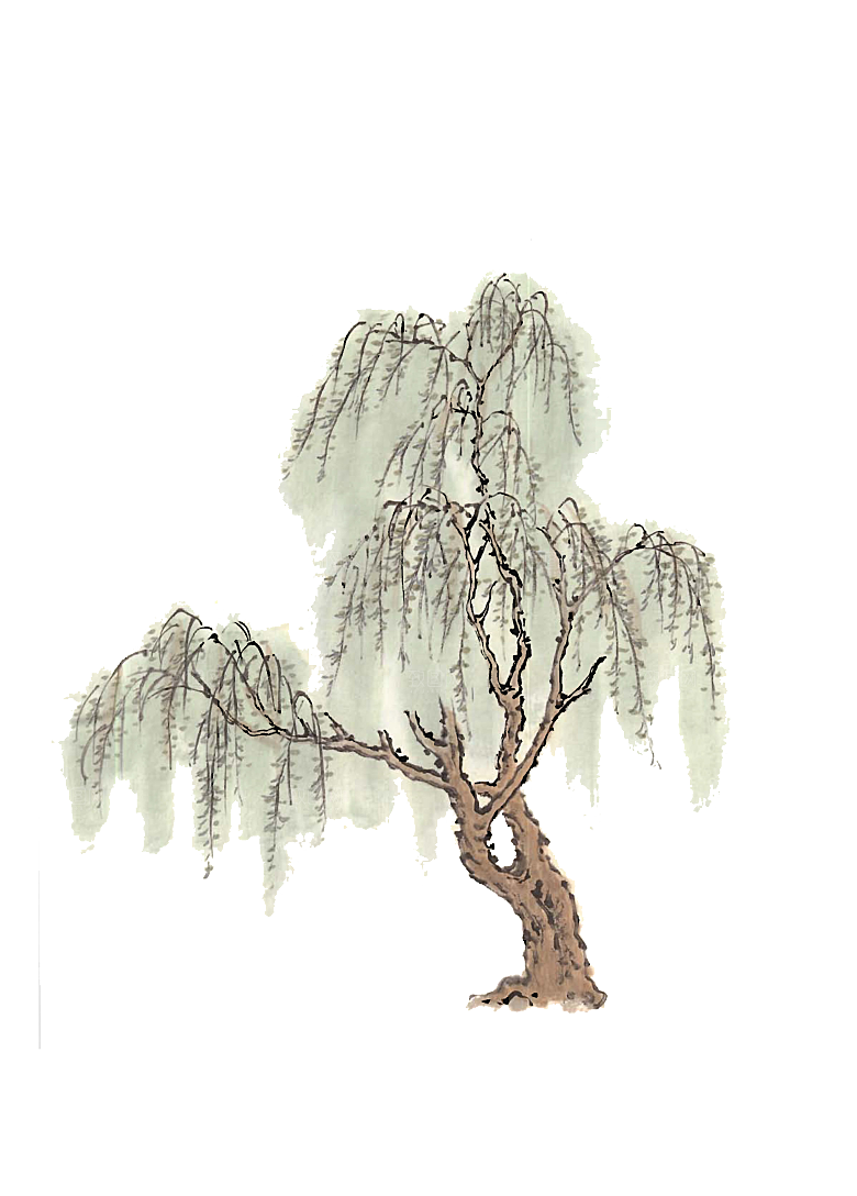免抠植物古风树木插画元素