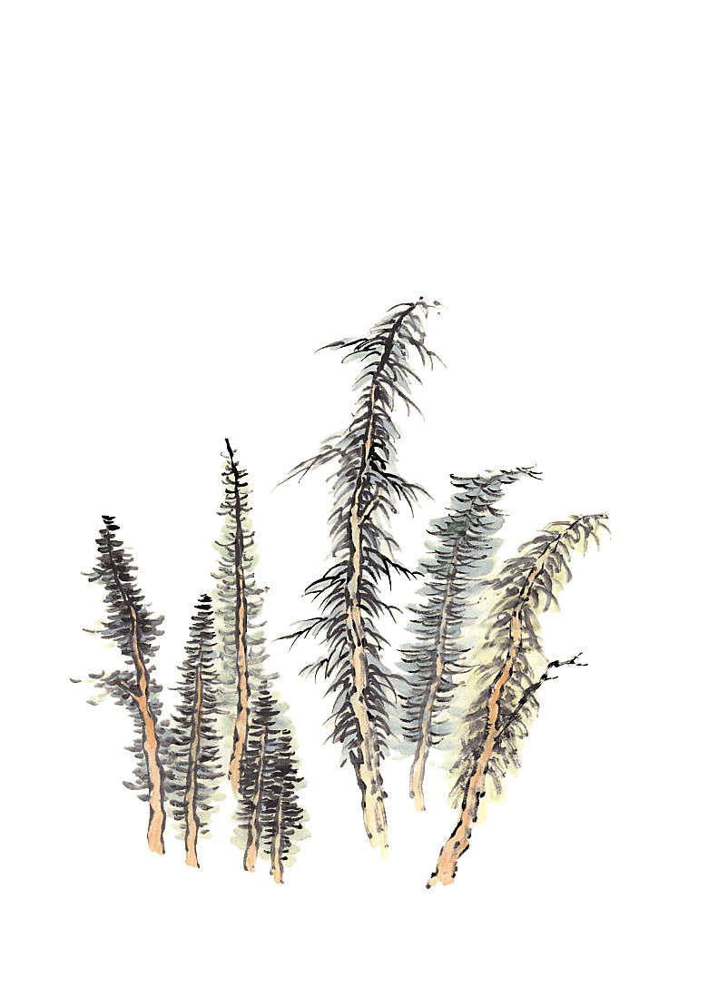 免抠植物古风树木插画元素