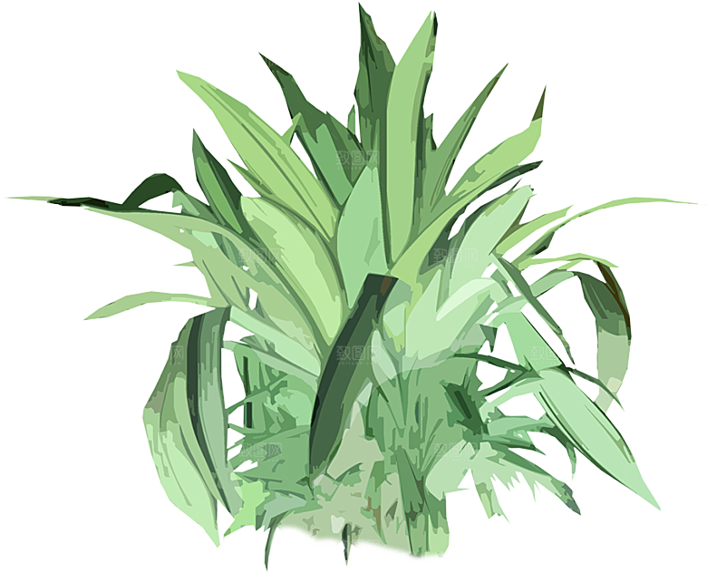 免抠植物古风树木插画元素