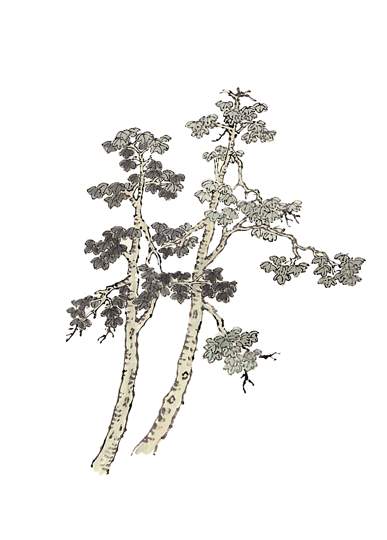 免抠植物古风树木插画元素