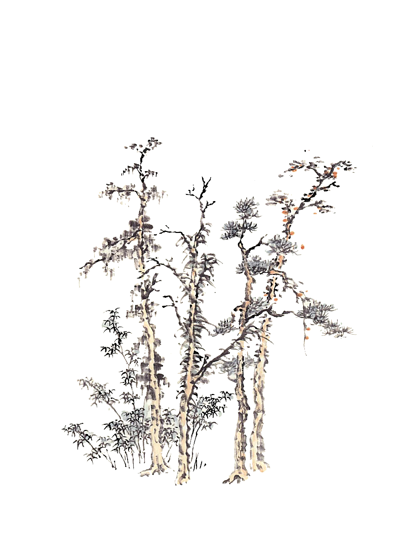 免抠植物古风树木插画元素