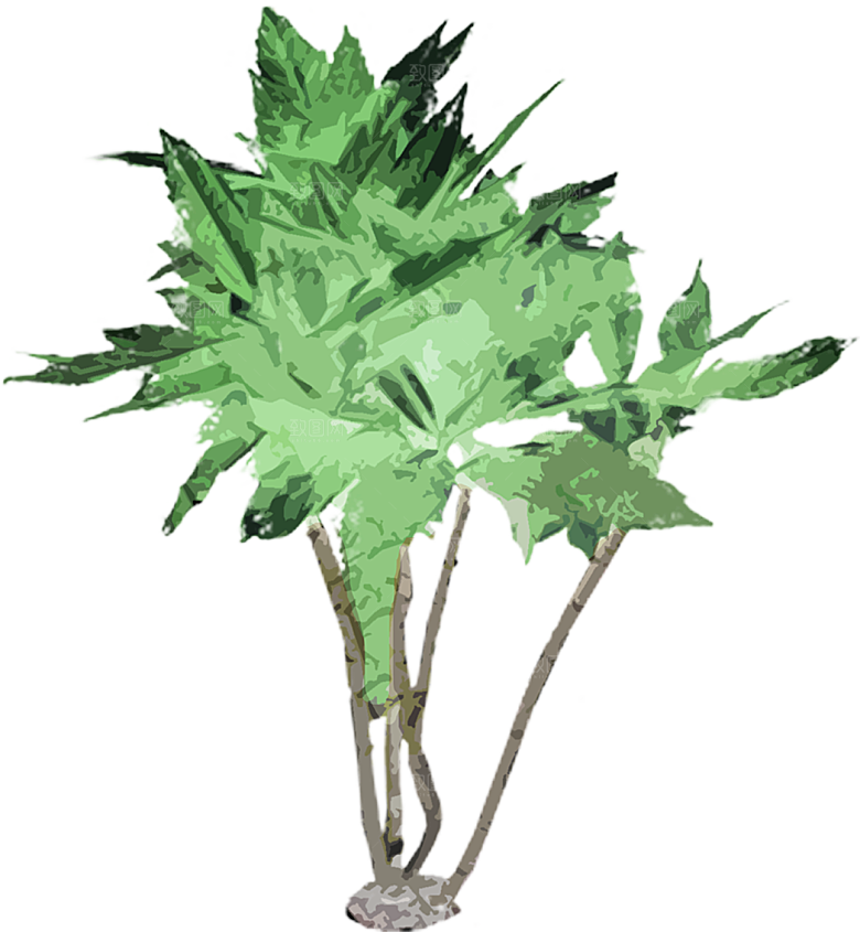 免抠植物古风树木插画元素