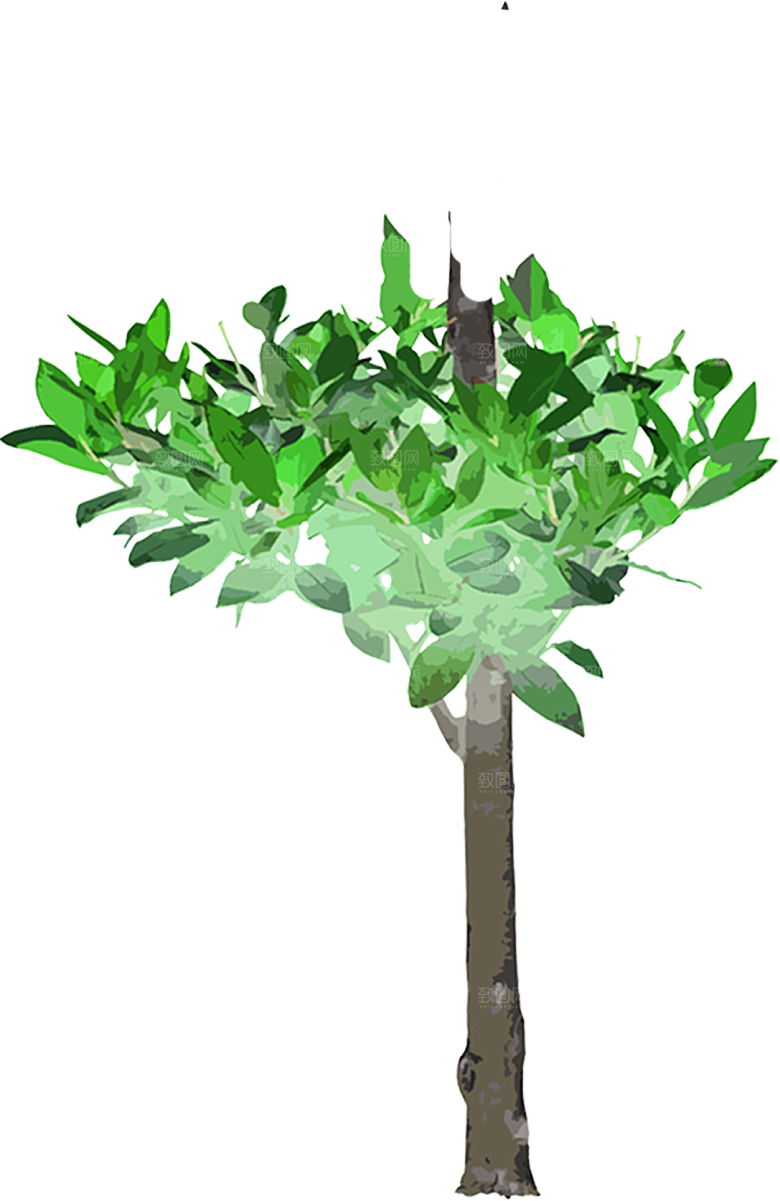 免抠植物古风树木插画元素