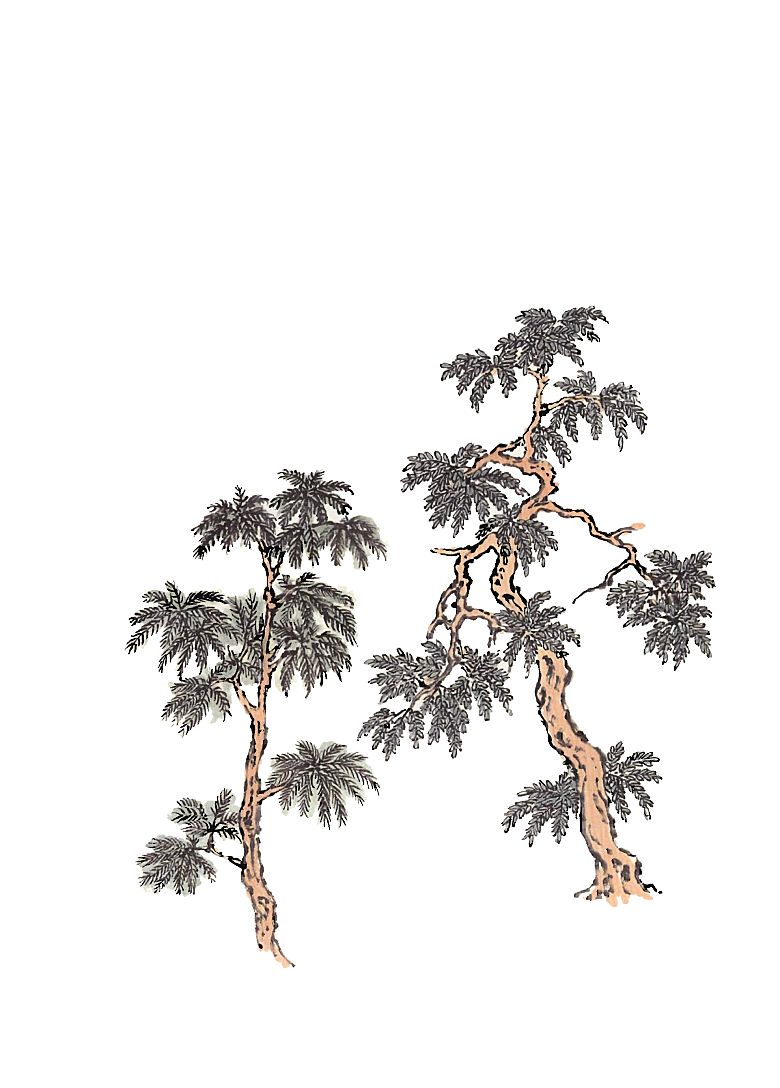 免抠植物古风树木插画元素