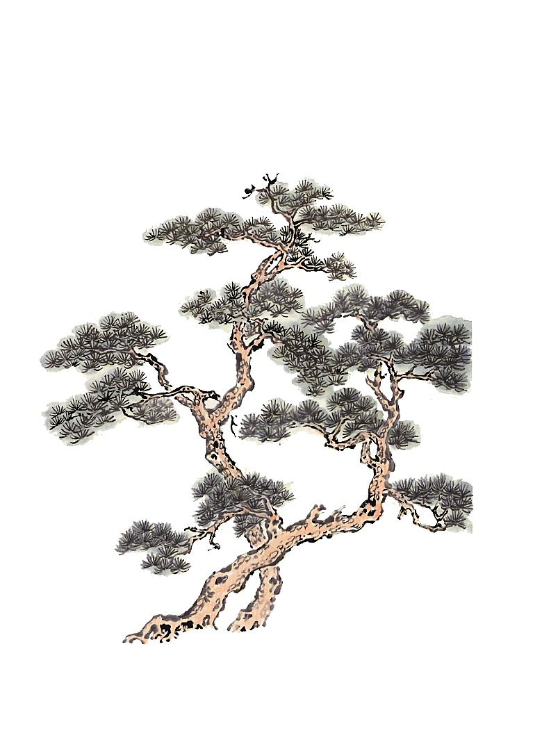 免抠植物古风树木插画元素