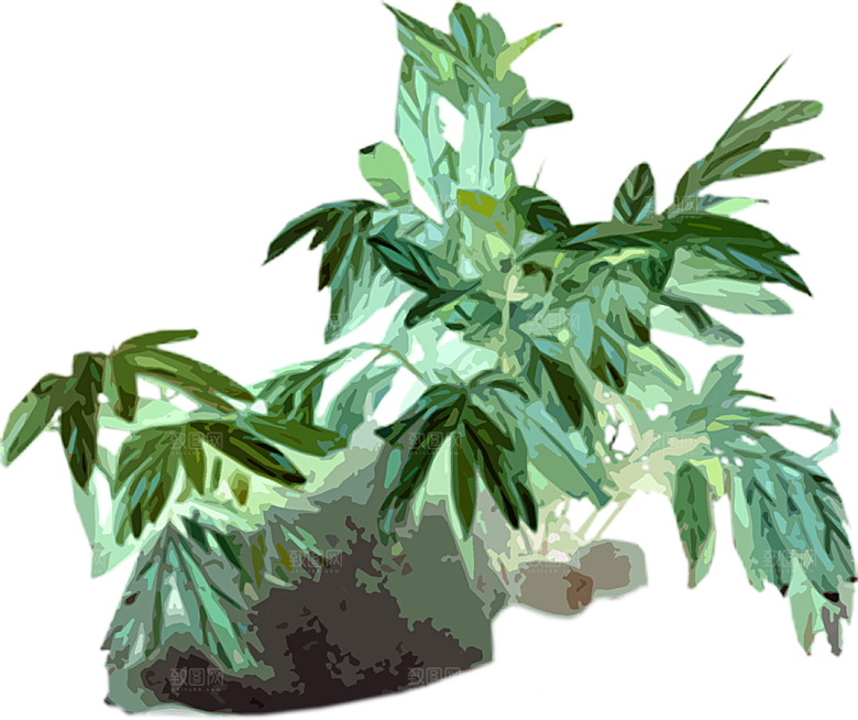 免抠植物古风树木插画元素