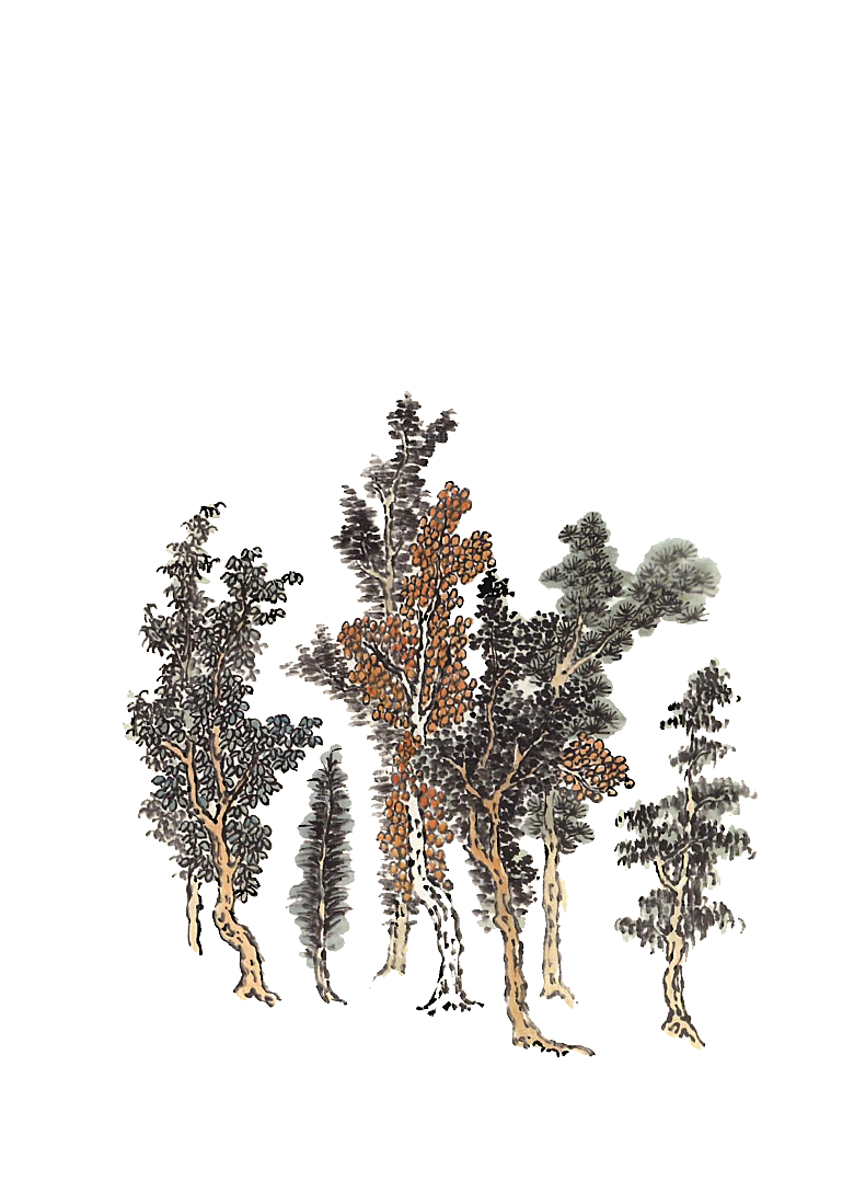 免抠植物古风树木插画元素