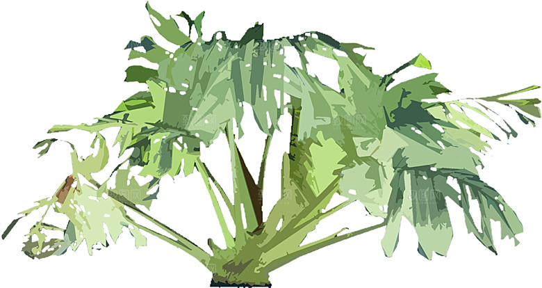 免抠植物古风树木插画元素