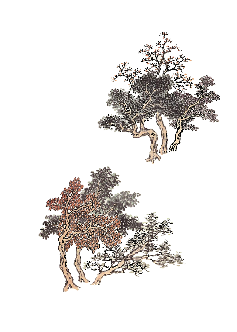 免抠植物古风树木插画元素