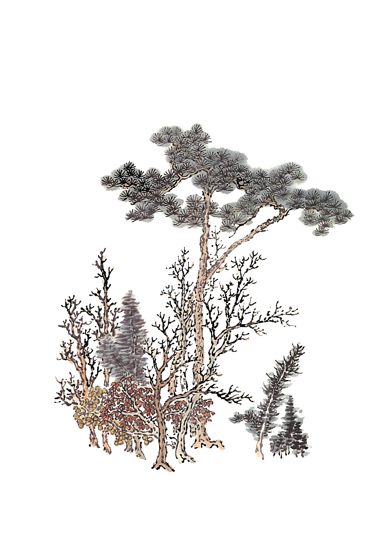 免抠植物古风树木插画元素