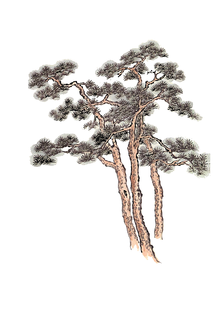 免抠植物古风树木插画元素