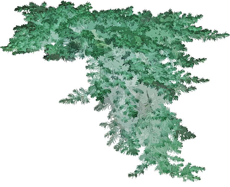 免抠植物古风树木插画元素