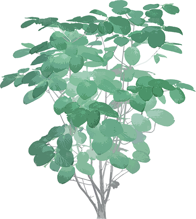 免抠植物古风树木插画元素