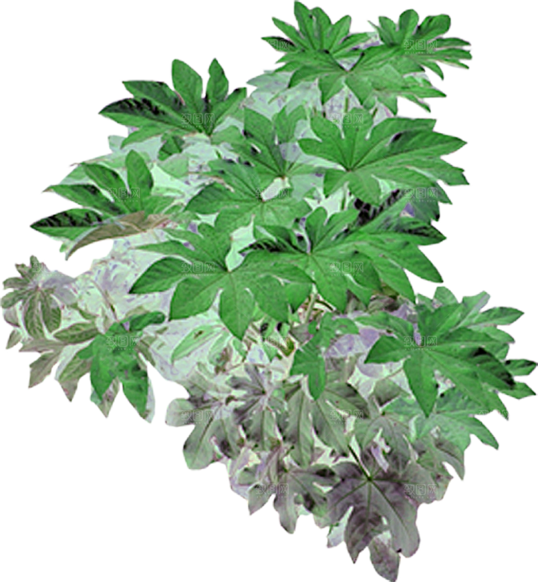 免抠植物古风树木插画元素