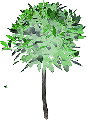 免抠植物古风树木插画元素