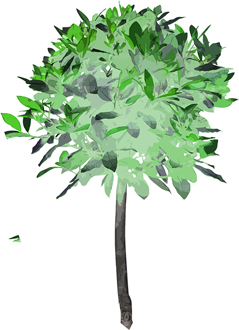 免抠植物古风树木插画元素